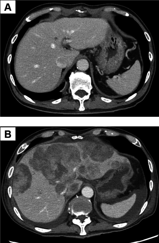 Fig. 3