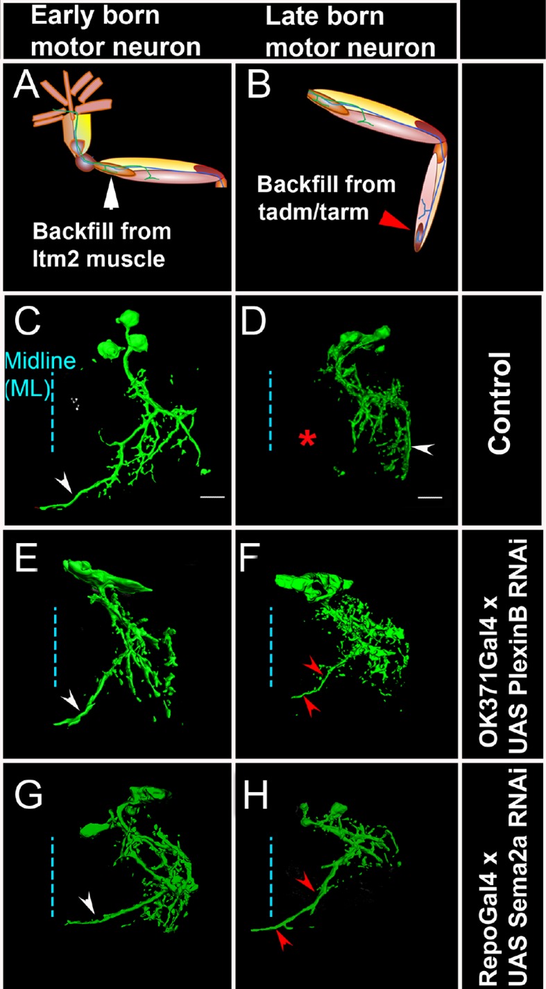 Figure 6.