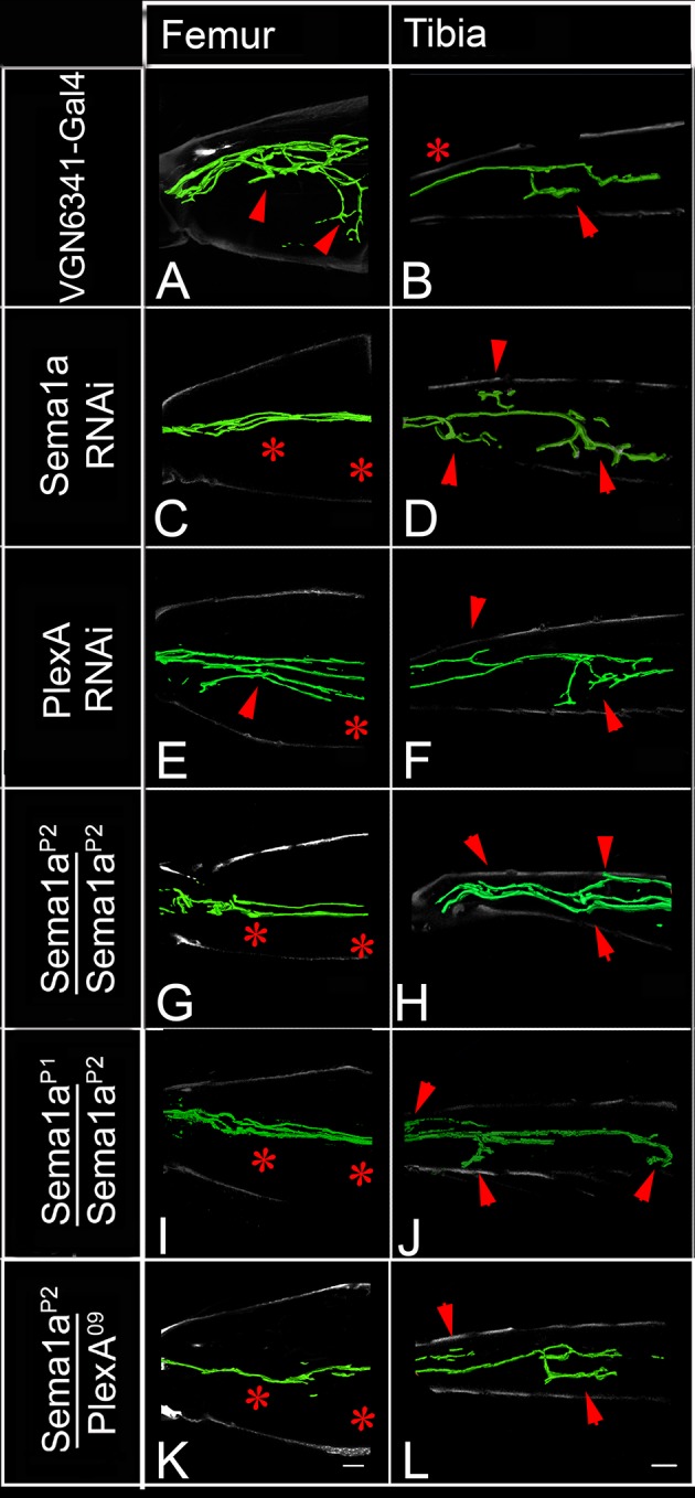 Figure 4.