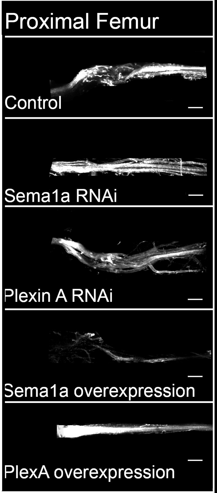 Figure 2—figure supplement 2.