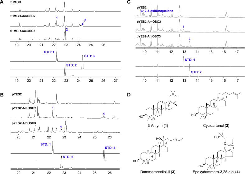 Fig. 2