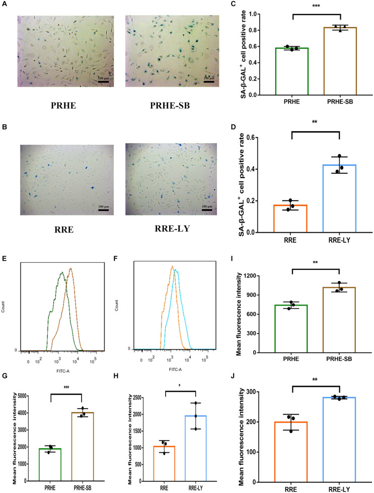 FIGURE 14