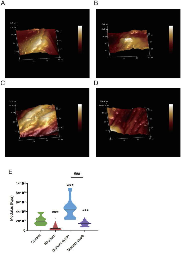 FIGURE 3