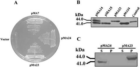 FIG. 3.