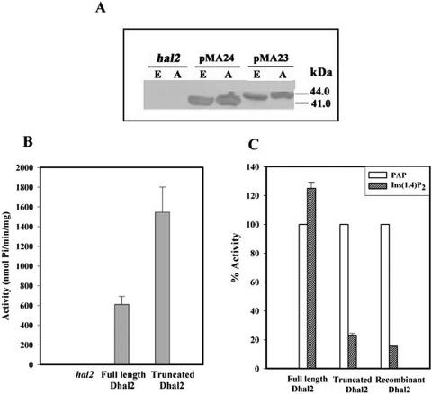 FIG. 4.