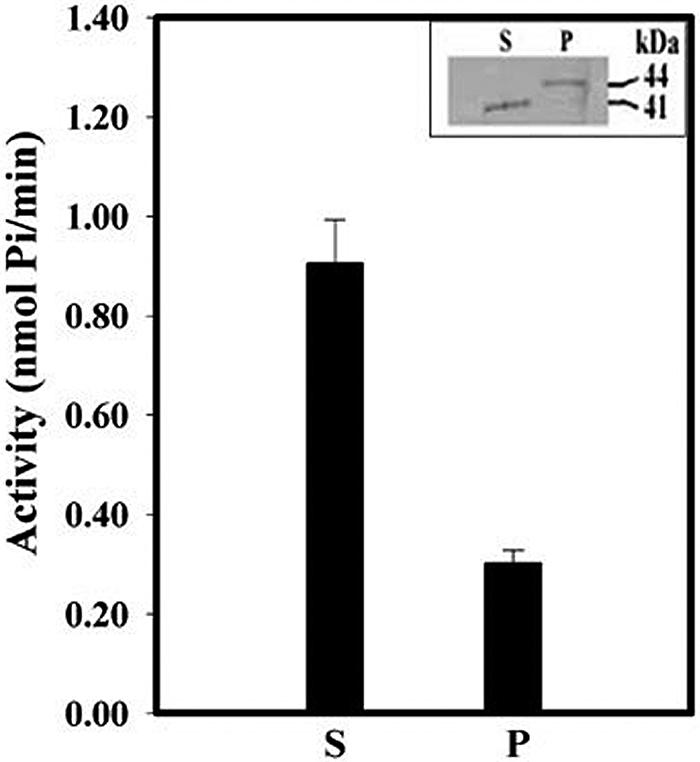 FIG. 7.