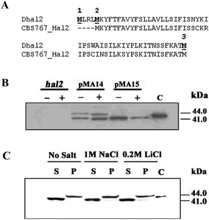 FIG. 2.