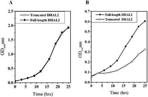 FIG. 8.