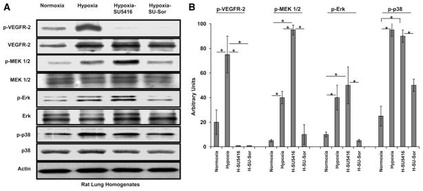 Fig. 12