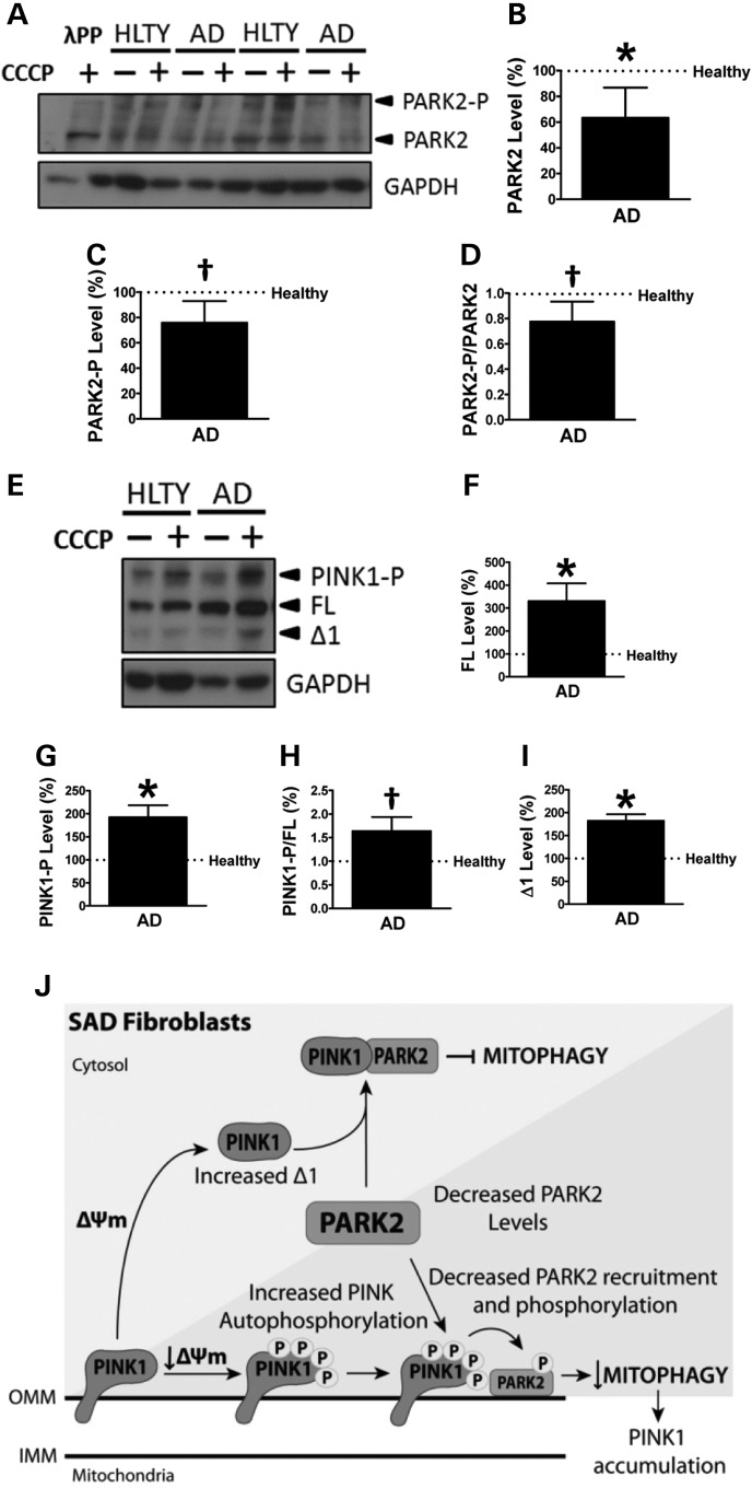 Figure 5.