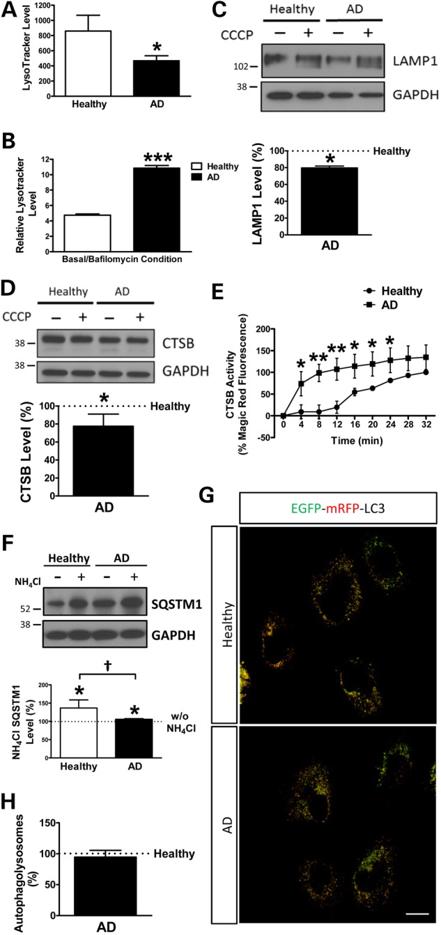 Figure 3.