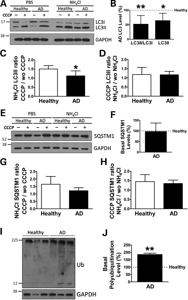 Figure 2.