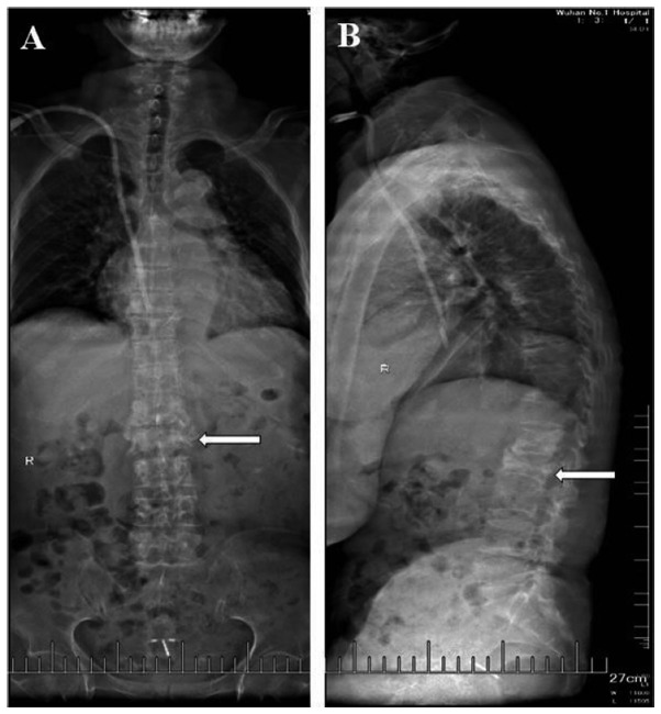 Figure 3.