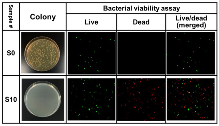 Figure 6