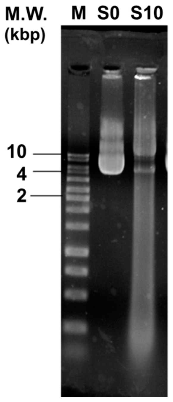 Figure 7