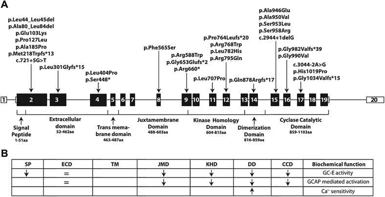 Figure 1