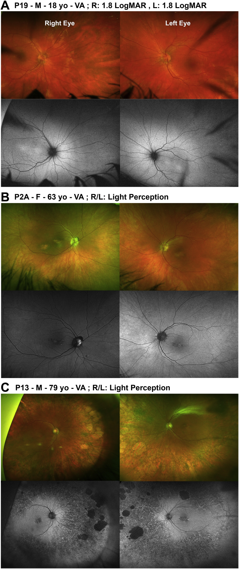 Figure 2