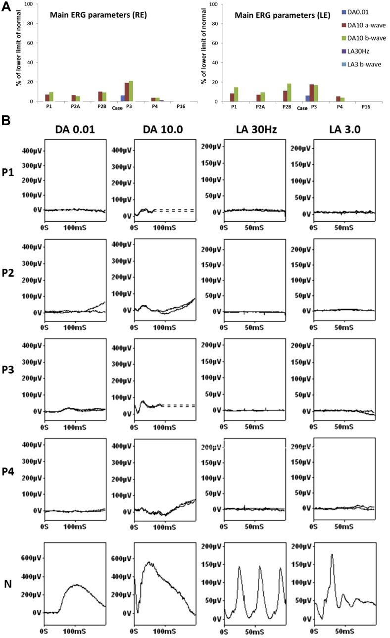 Figure 3