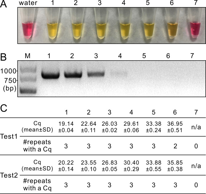 Fig 5