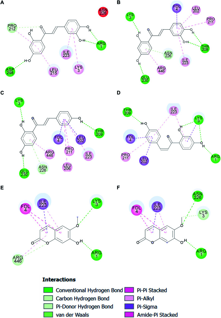 Fig. 10