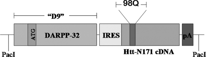 Figure 1.