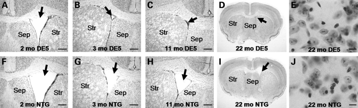 Figure 4.