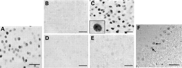 Figure 3.