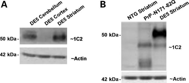 Figure 2.