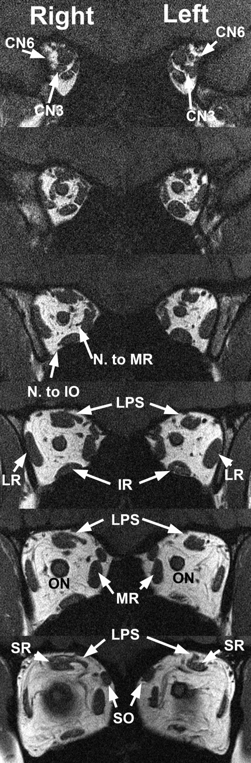 Figure 7.