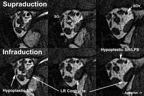 Figure 9.