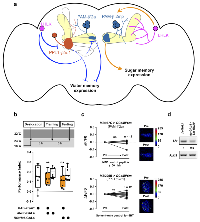 Extended Data Fig. 5