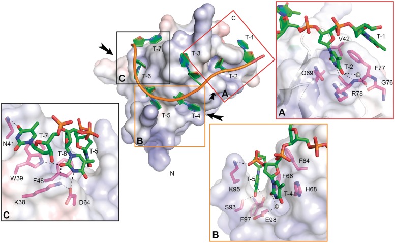 Figure 3.