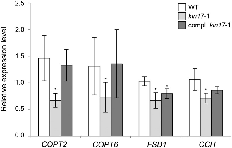 Figure 5.