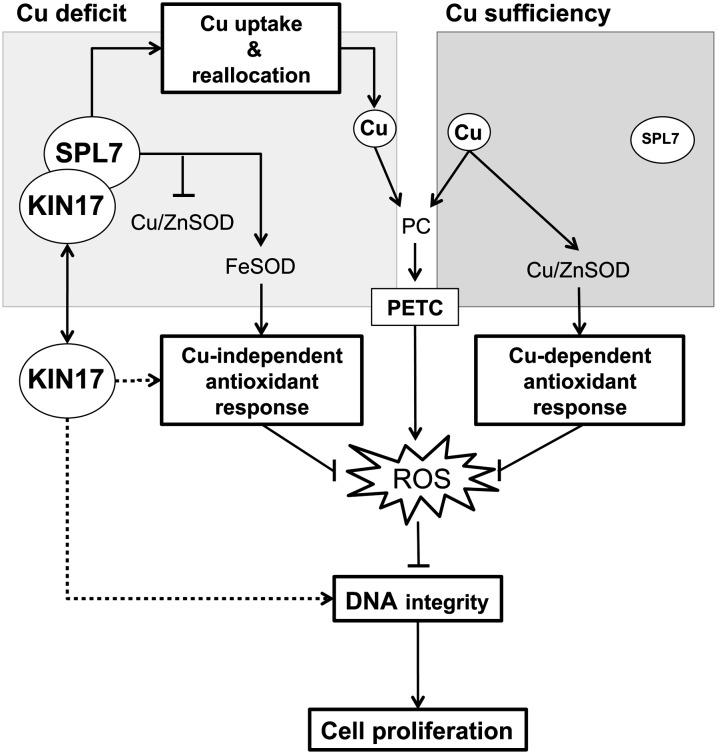 Figure 10.