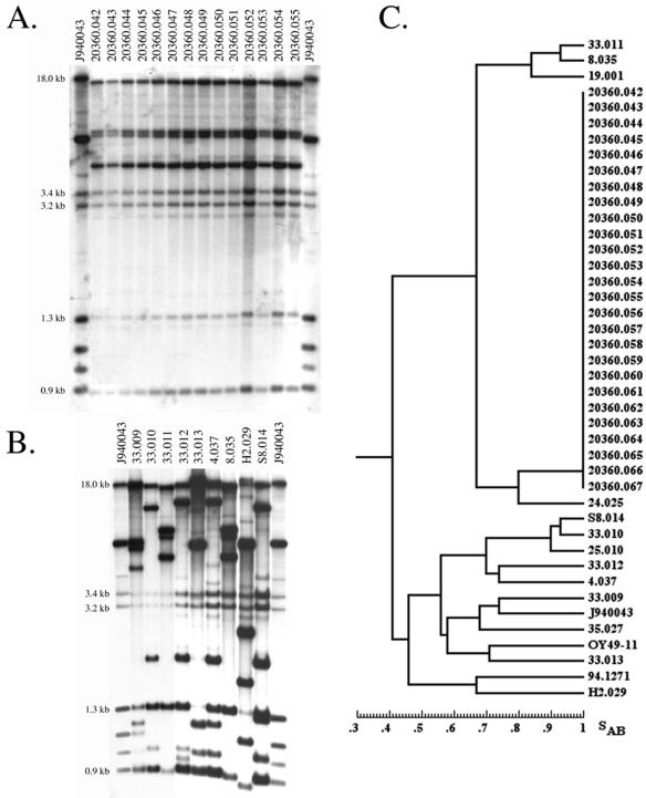 FIG. 2.