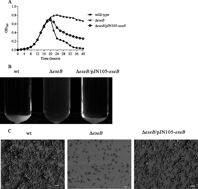 FIG 1