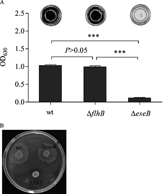 FIG 3