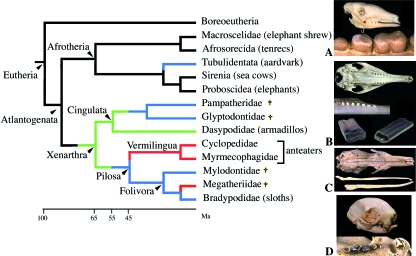 Fig. 8