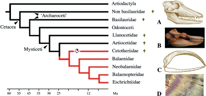 Fig. 10