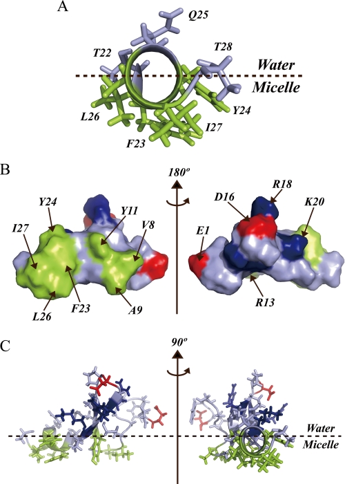 FIGURE 9.