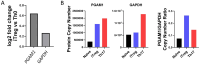 Figure 1—figure supplement 5.