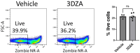 Figure 4—figure supplement 1.