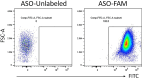 Figure 1—figure supplement 2.