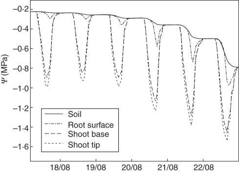 Fig. 5.