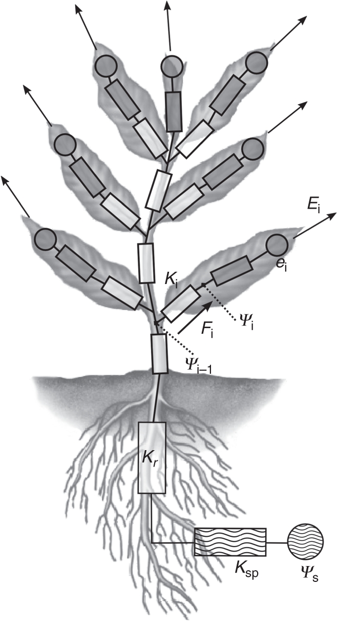 Fig. 1.