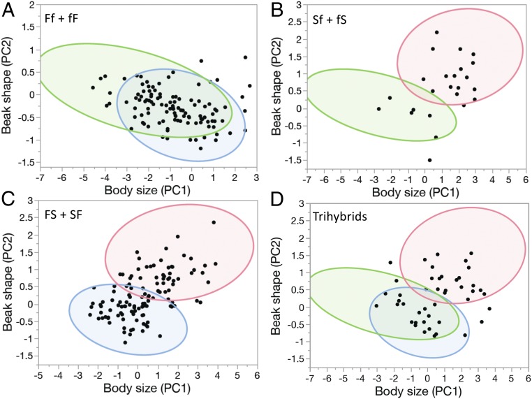 Fig. 4.