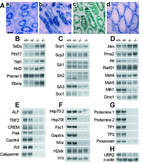 FIG. 8.