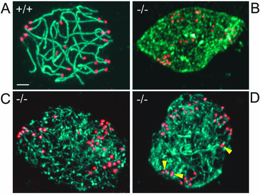 FIG. 7.