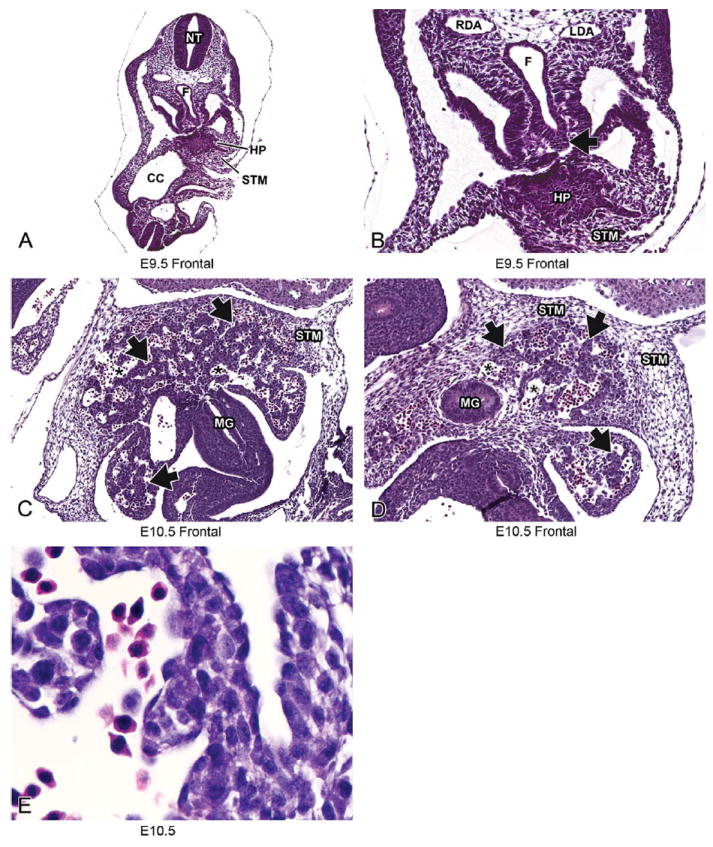 FIGURE 3