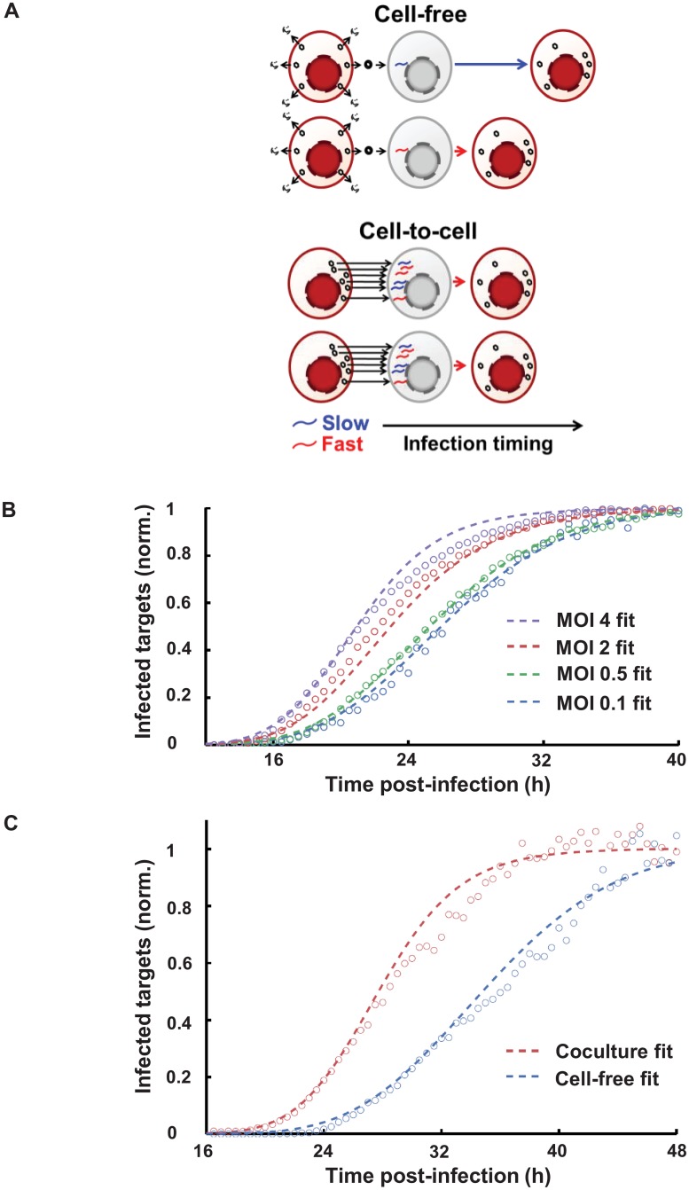 Fig 4